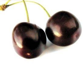 PERFUME APPRENTICE - Black Cherry