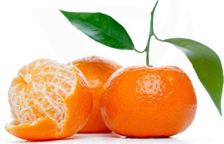 CAPELLA  FLAVORS   - SWEET TANGERINE